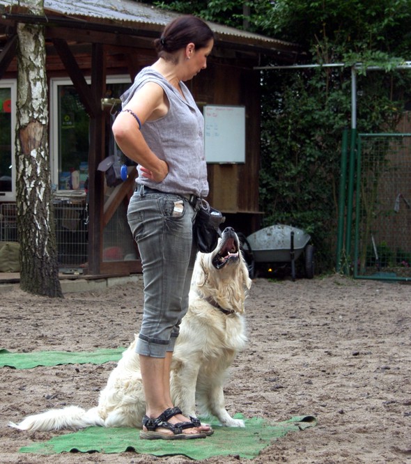 SitzenNebenDemMenschen