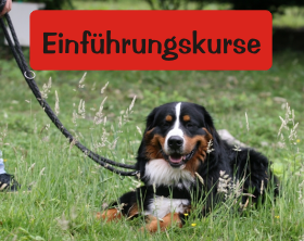 KursEinfuehrung