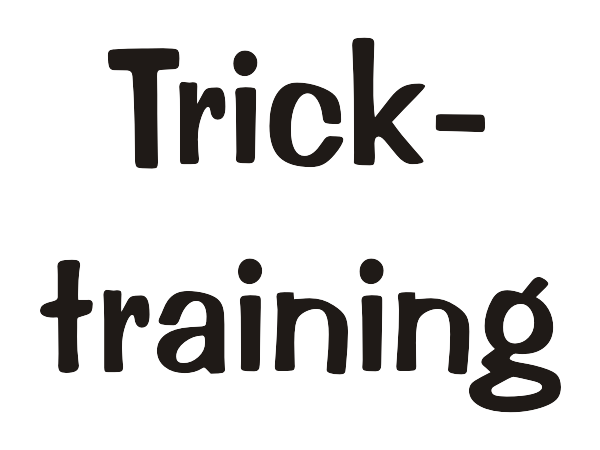 Tricktraining