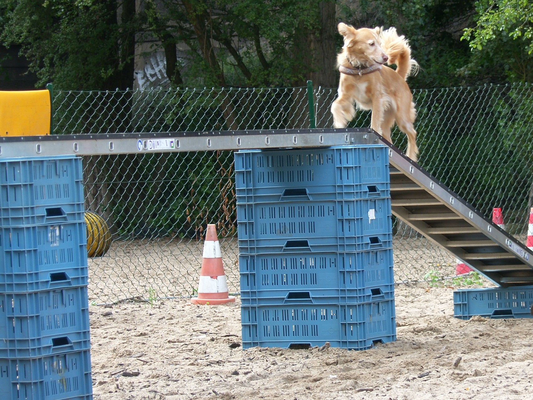 Agility