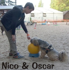 OscarundNico